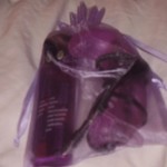 Berman Center Adonis toy and control/battery pack in organza bag
